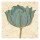 Diane Stimson, GOLD TURQUOISE TULP