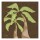 Diane Stimson, PALM WITH BROWN II