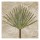 Diane Stimson, PALM FROND