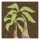 Diane Stimson, PALM WITH BROWN II