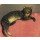 Théophile-Alexandre Steinlen, Der Winter, Katze auf einem Kissen. 1909