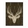 Jace Grey, DEER BROWN