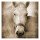 Suzanne Foschino, HORSE IN WHITE I