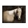 Suzanne Foschino, HEART HORSE I