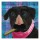Diane Stimson, HUMOR DOG