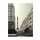 Tracey Telik, IN THE CITY