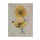 Albert Koetsier, YELLOW DARK BRIGHT II