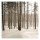 Tracey Telik, PINES