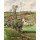 Camille Pissarro, Die Kohlfelder in Pontoise. 1882
