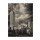 Sandro De Carvalho, EMPIRE STATE II