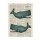 Tina Carlson, SERIES NEWSPAPER VI