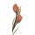Albert Koetsier, SOFT TULIP