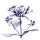 Albert Koetsier, LITTLE FLOWERS IN PURPLE IV