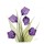 Albert Koetsier, SANDERSONIA PURPLE