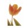 Albert Koetsier, ORANGE TULIPS II