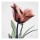 Albert Koetsier, FLOWERS IN PINK I