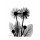 Albert Koetsier, BLACK AND WHITE I