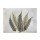 Albert Koetsier, GRAY LEAF IV
