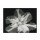 Albert Koetsier, BIG BLOSSOM II