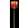 Barry Seidmann, TALL ORANGE TULIP