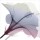 Albert Koetsier, HIBISCUS PINK AND GRAY II