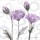 Rossi Lorraine, PURPLE POPPY II