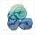 Albert Koetsier, SEA SKY SNAILS