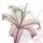 Albert Koetsier, NEAPOLITAN LILY