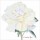 Rossi Lorraine, PEACE ROSE I