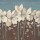 Sarah Anderson, WHITE FLOWERS I
