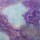 Barbara Bilotta, HEAVEN PURPLE