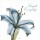 Albert Koetsier, EVERYDAY I