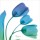 Albert Koetsier, TULIPS TURQUOISE I