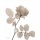 Albert Koetsier, ROSE CREAM I