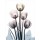 Albert Koetsier, SPRINGING TULIPS II