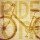 Melody Hogan, BIKE CANVAS II