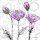 Rossi Lorraine, PURPLE POPPY II