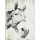 Jace Grey, VINTAGE HORSE