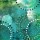 Jace Grey, HILLS IN GREEN