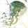Jace Grey, SPLATTER JELLYFISH