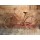 Kimberly Allen, RUSTY BICYCLE