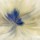 Kimberly Allen, BLUE SWIRL II