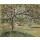 Camille Pissarro, Apfelbaum in Ergany (Pommier à Eragny). 1884