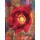 Smith Haynes, BOHEMIAN POPPY II
