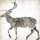 Jace Grey, WOOD DEER II