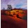 Spencer Lee, EVENING GLORY