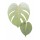 Albert Koetsier, Golden Philodendron 1