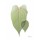 Albert Koetsier, Golden Philodendron 2