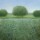 Hans Dolieslager, Cool landscape