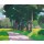 Jentsje Popma, Country estate 'de Eese'